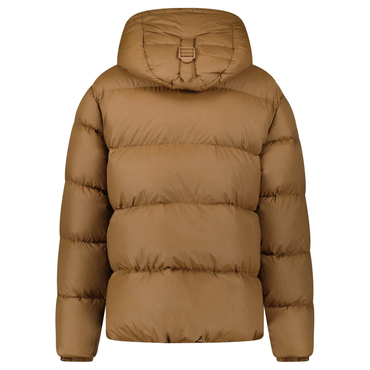 Burberry Jacket