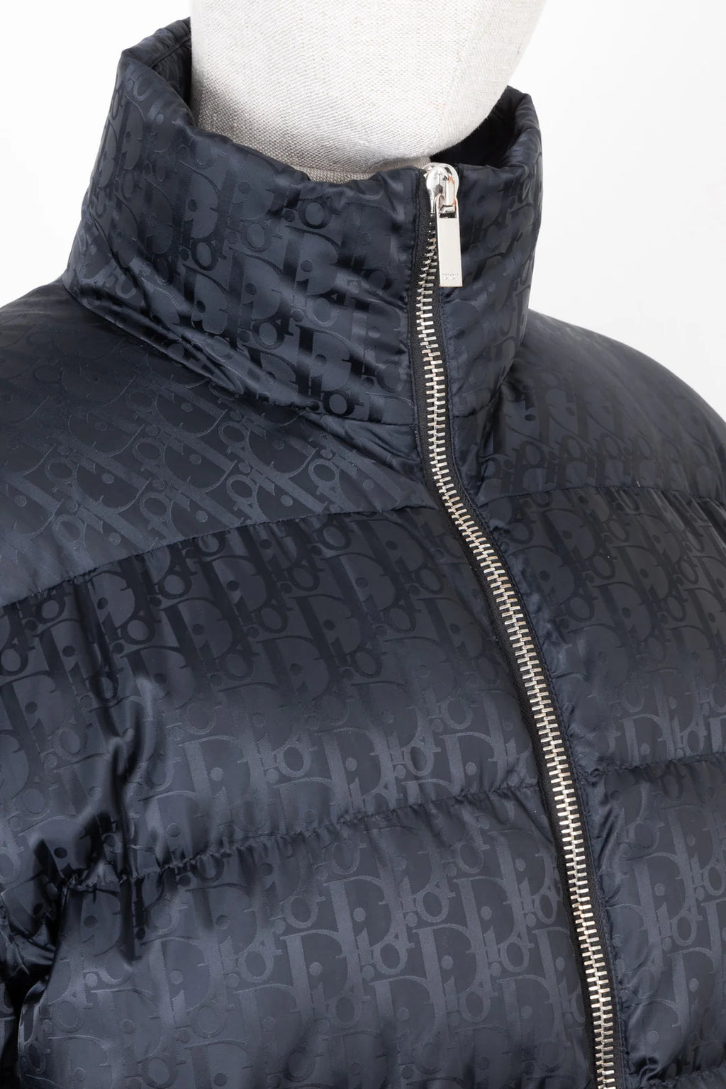 DIOR Homme Oblique Down Jacket Black