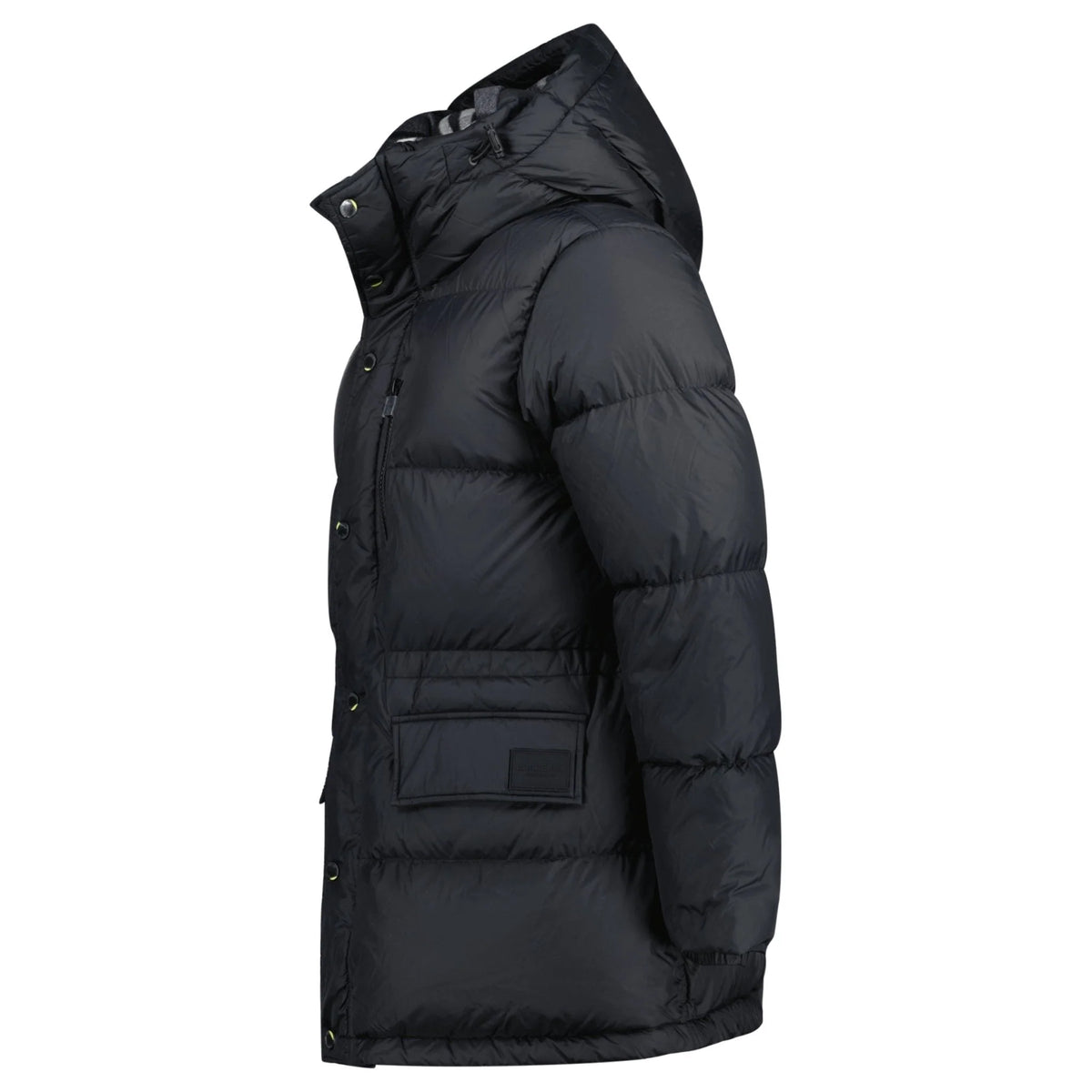 Burberry Jacket