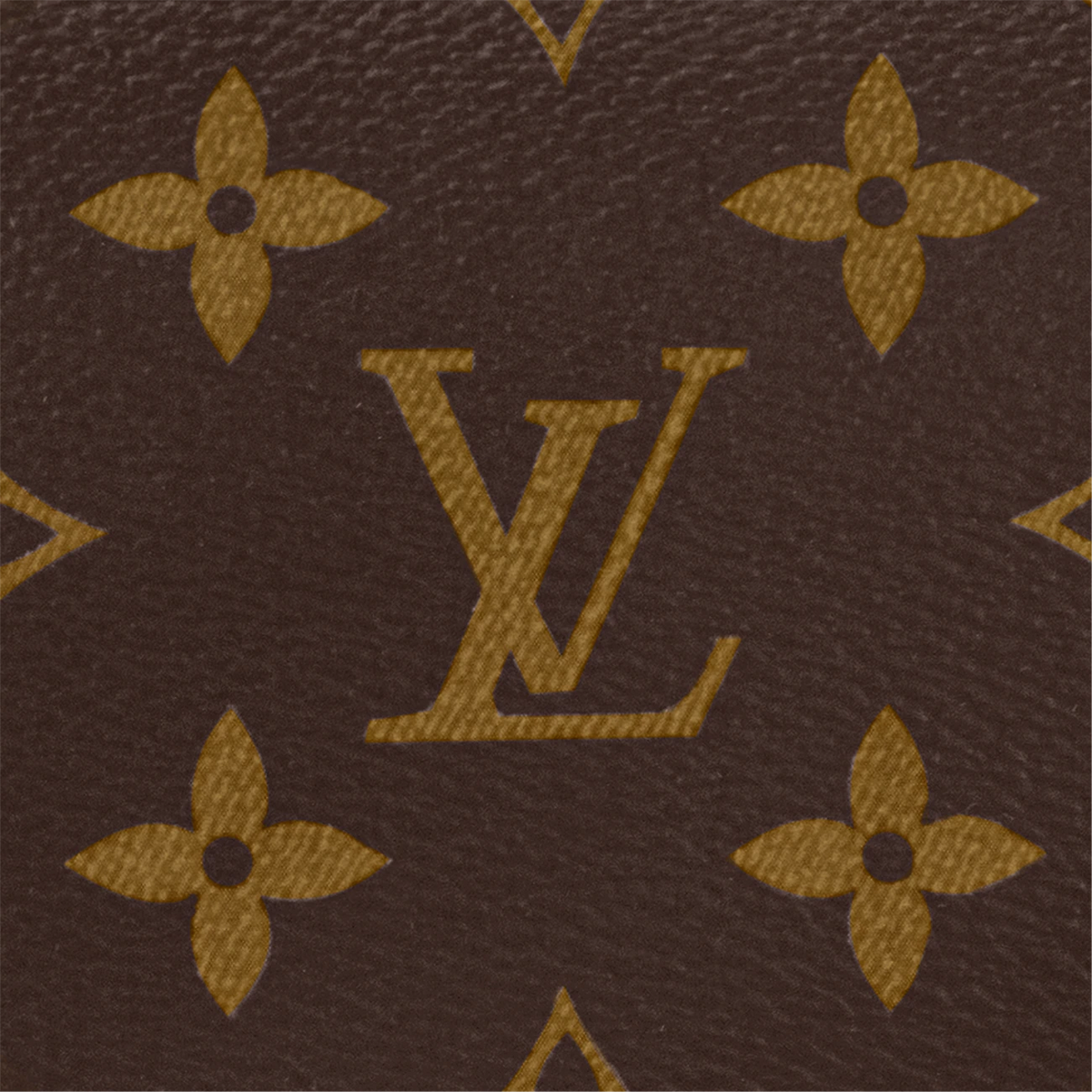 Louis Vuitton Toilet Pouch