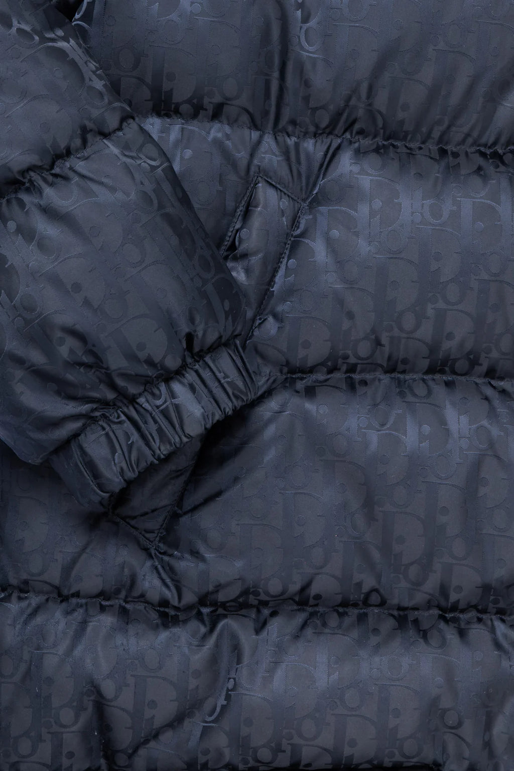 DIOR Homme Oblique Down Jacket Black