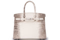 Hermès Birkin 30 Exotic Himalaya Blanc Crocodile Niloticus White Gold And Diamond