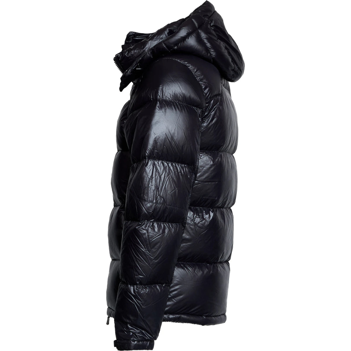 Polo Ralph Lauren Jacket