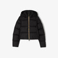 Burberry Jacket
