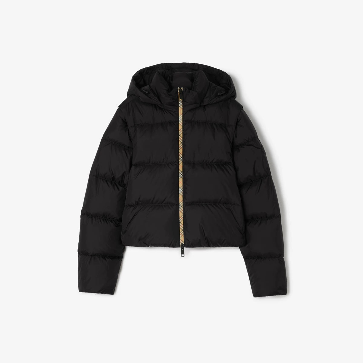 Burberry Jacket