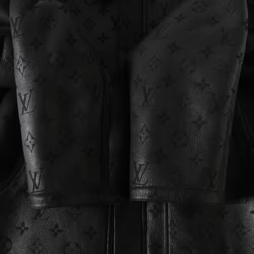 Louis Vuitton Jacket