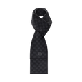 Louis Vuitton Scarf