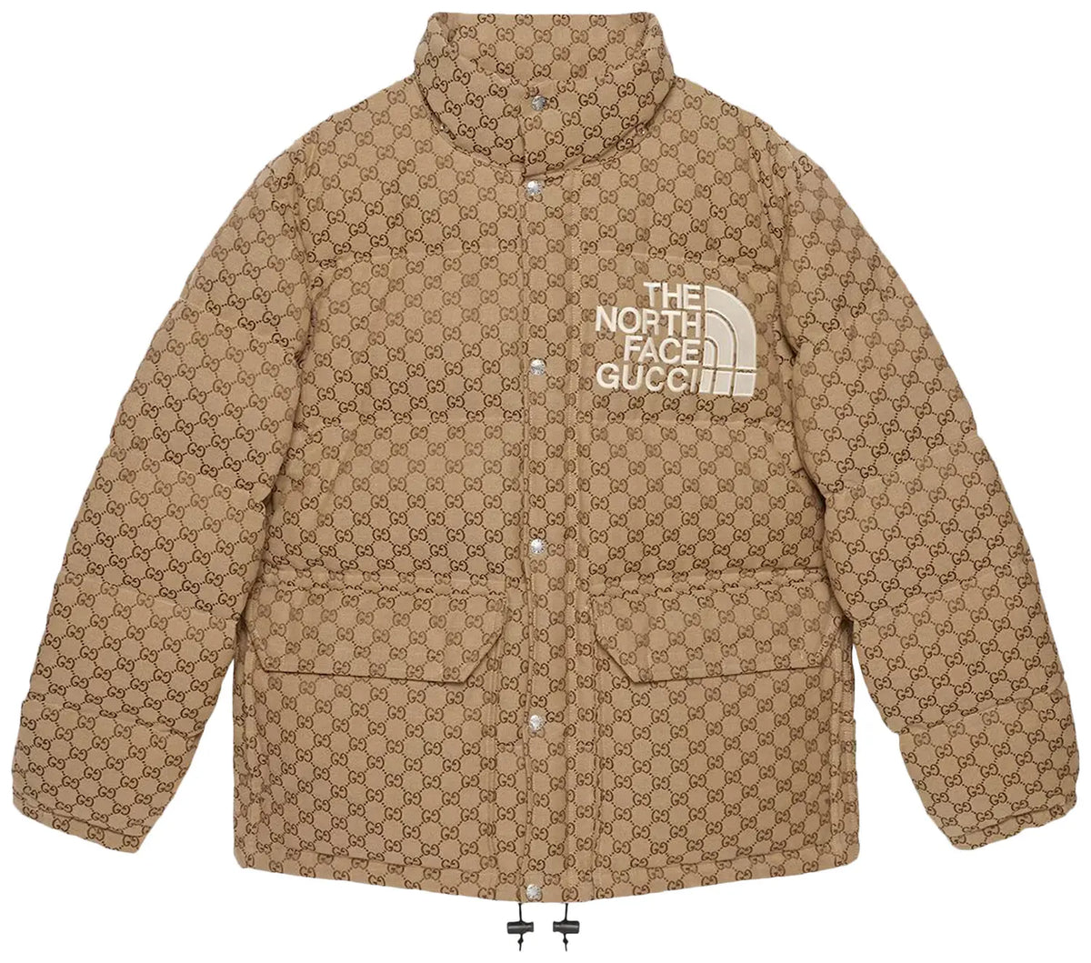 Gucci X The North Face Jacket